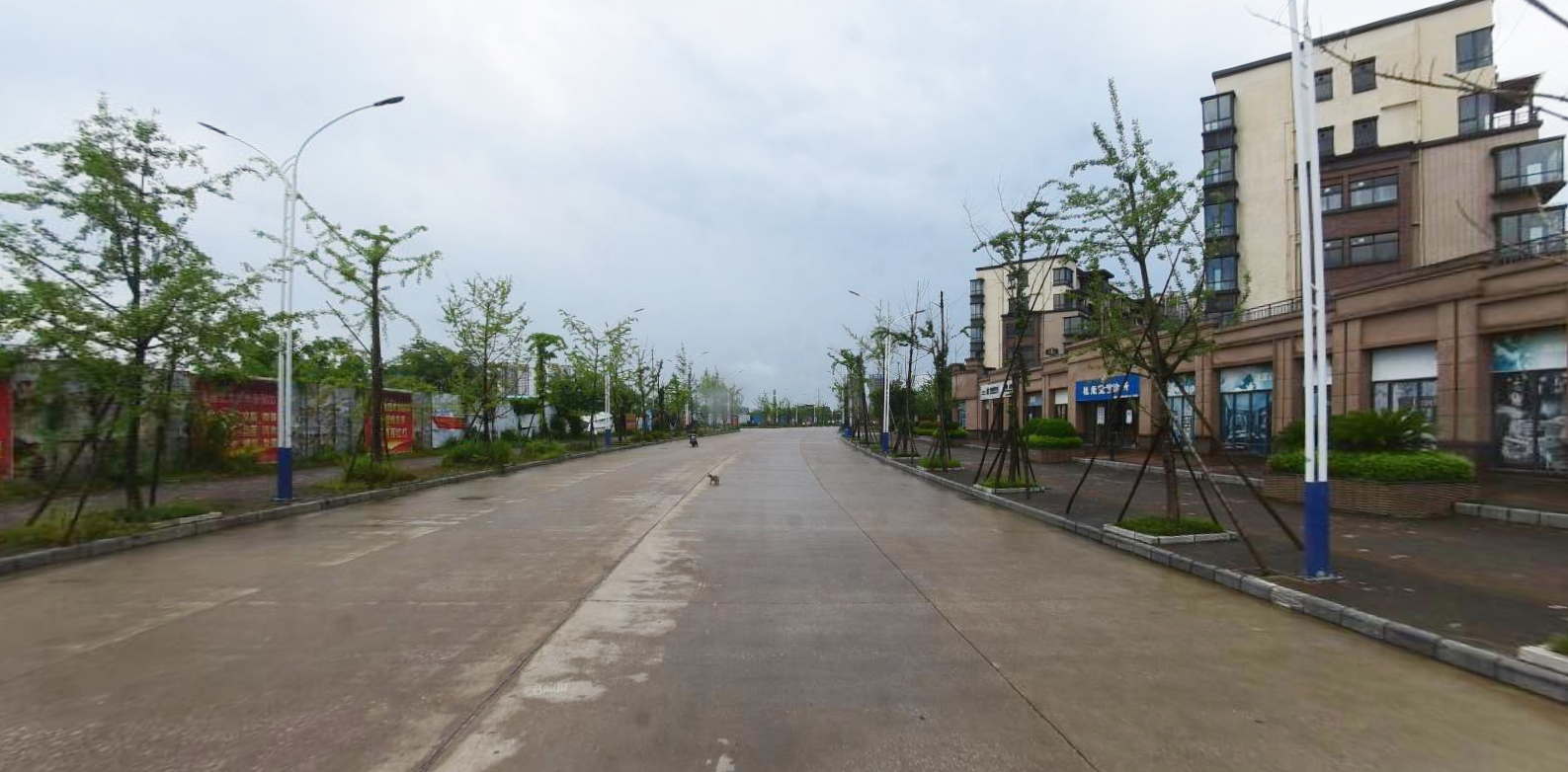 桂林市临桂新区平桂西路建设工程 (2).png